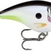Rapala BX Big Brat 2 3/4 Inch Square Bill Crankbait