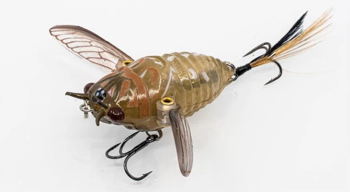 Chasebaits Ripple Cicada 1 3/4 Inch Wakebait Crawler - Image 2