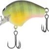 Shimano Macbeth 50F Hybrid Square Bill Crankbait