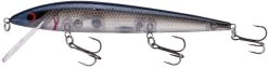 Smithwick Elite 8 Rogue 4 1/2 Inch Suspending Jerkbait