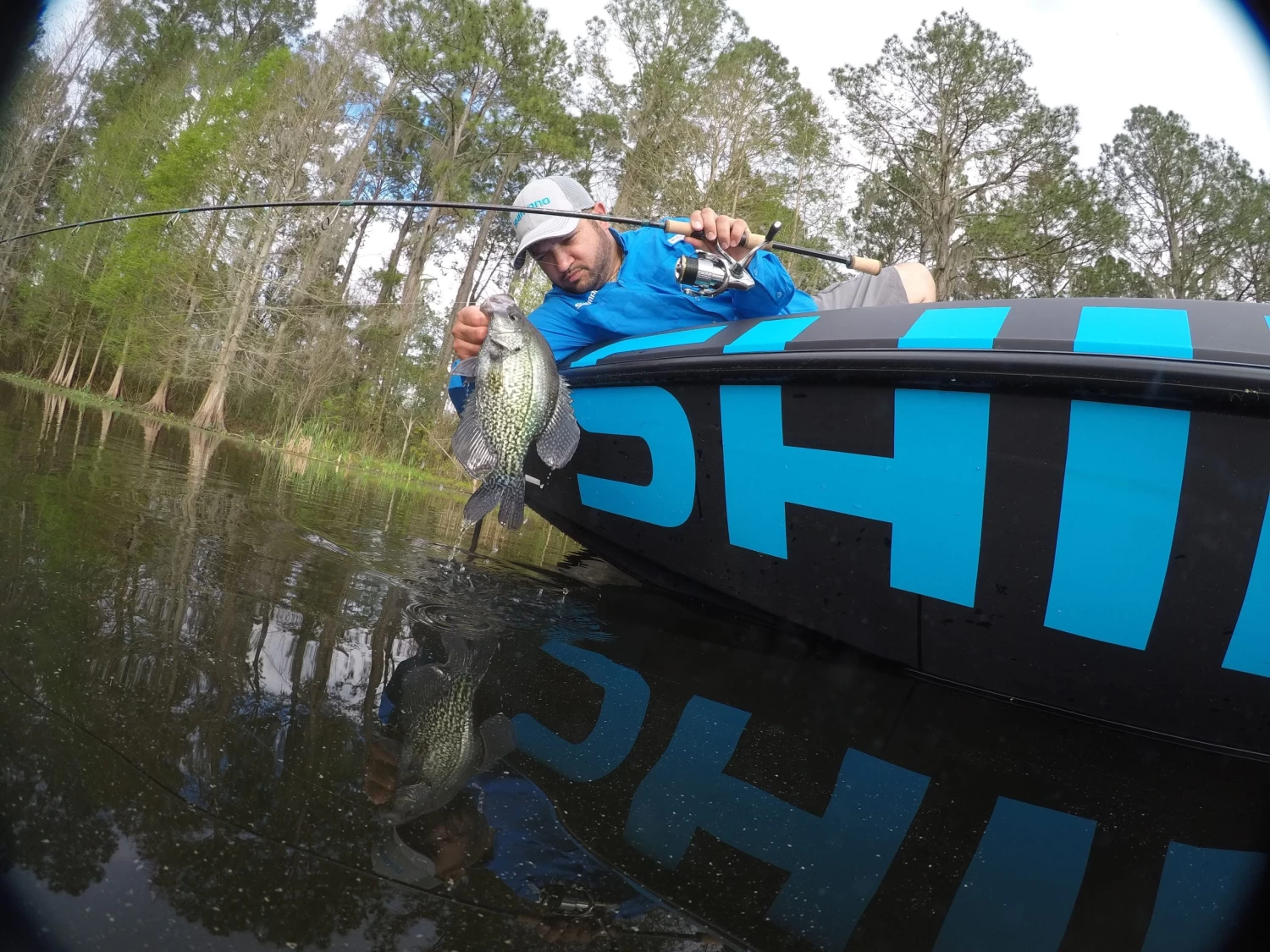 Shimano Stella FJ Spinning Reels - Image 7