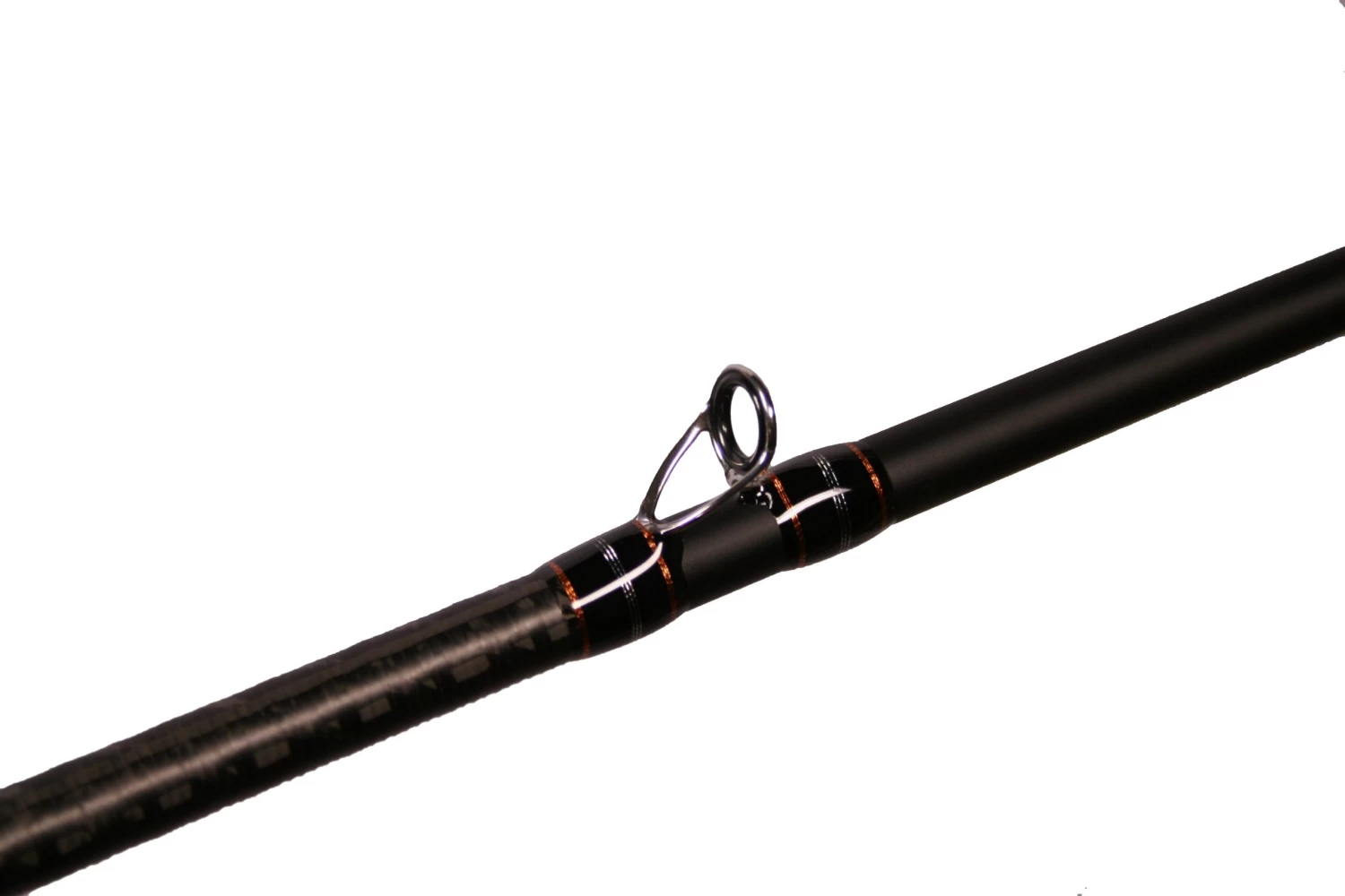 Dobyns Champion Extreme HP Casting Rods - Image 5