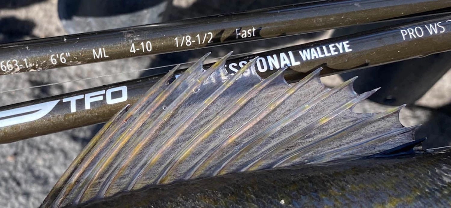 Temple Fork Outfitters Professional Walleye Spinning Rods - Image 3