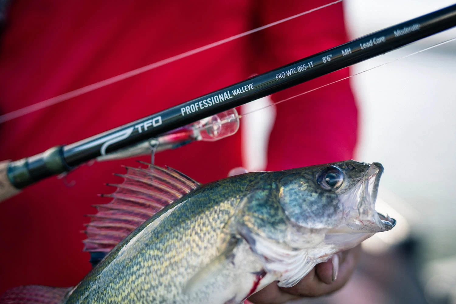 Temple Fork Outfitters Professional Walleye Spinning Rods - Image 4