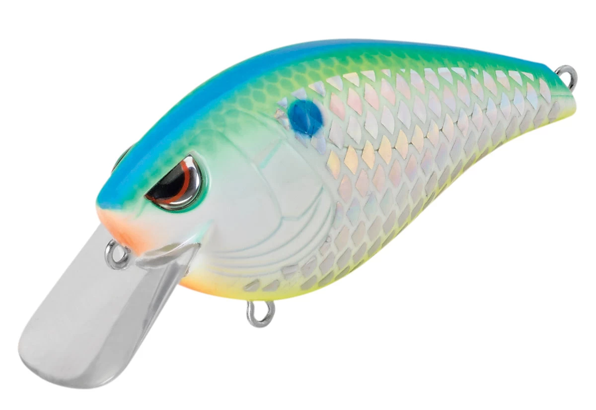 SPRO Hunter 65 SB Shallow Squarebill Crankbait - Image 18