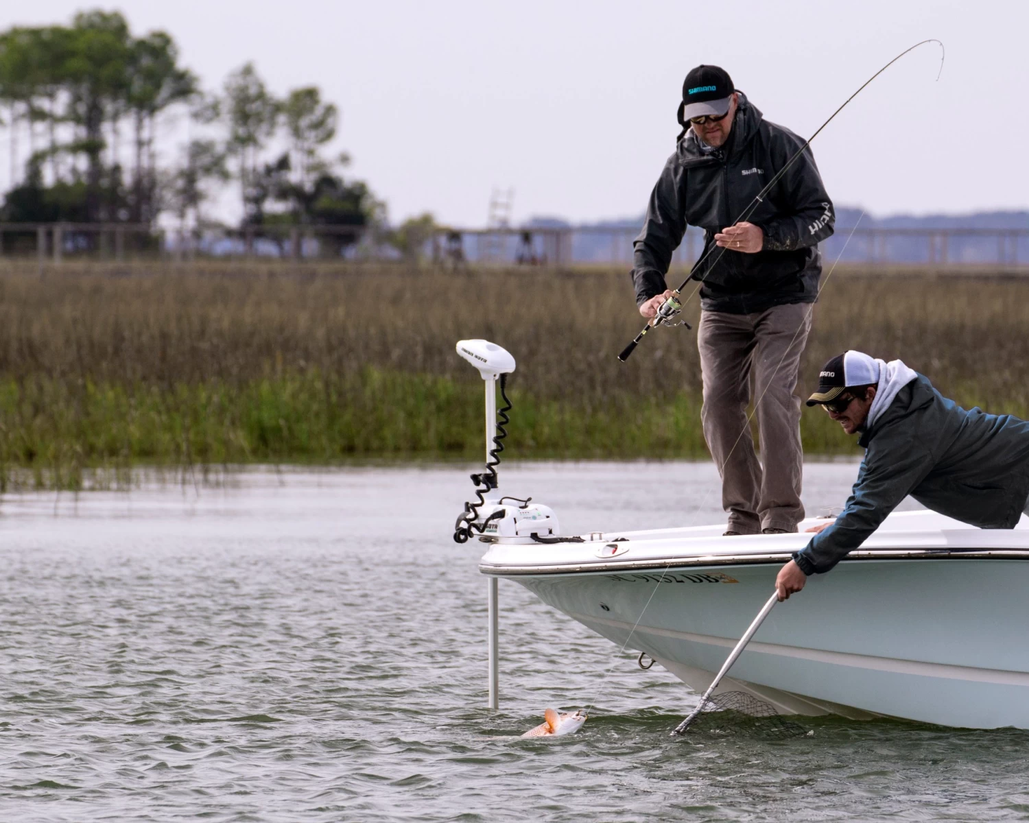 Shimano Stella FJ Spinning Reels - Image 8