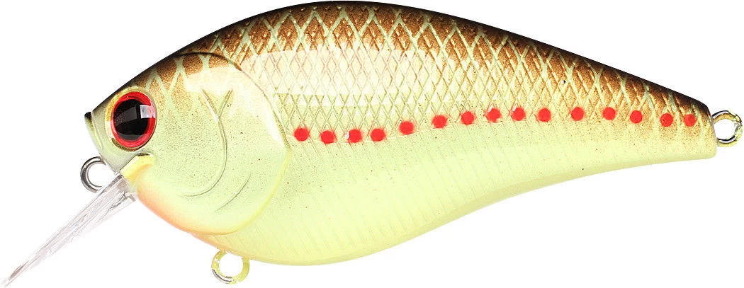 Lucky Craft LC 2.5 Shallow Squarebill Crankbait - Image 6
