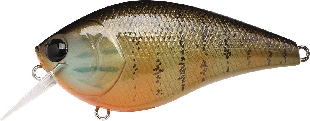 Lucky Craft LC 2.5 Shallow Squarebill Crankbait - Image 18