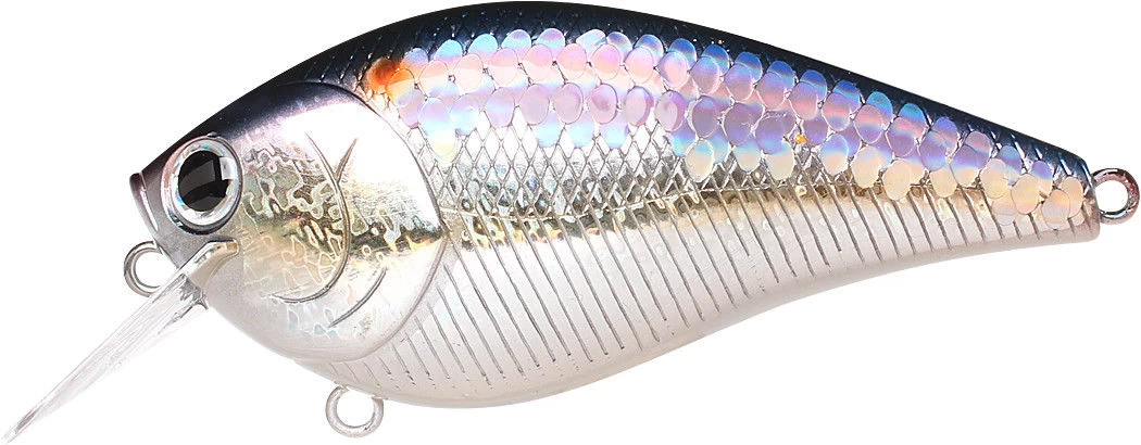 Lucky Craft LC 2.5 Shallow Squarebill Crankbait - Image 13