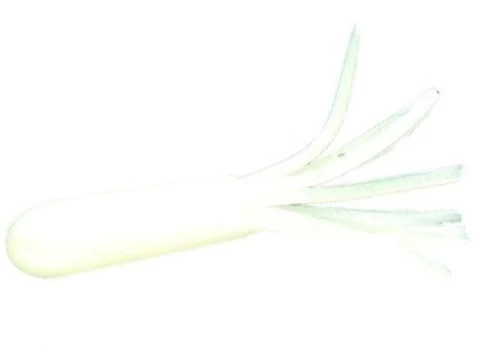 Jerry's Mini Skirt 1 1/2 Inch Soft Plastic Tube 20 Pack - Image 6