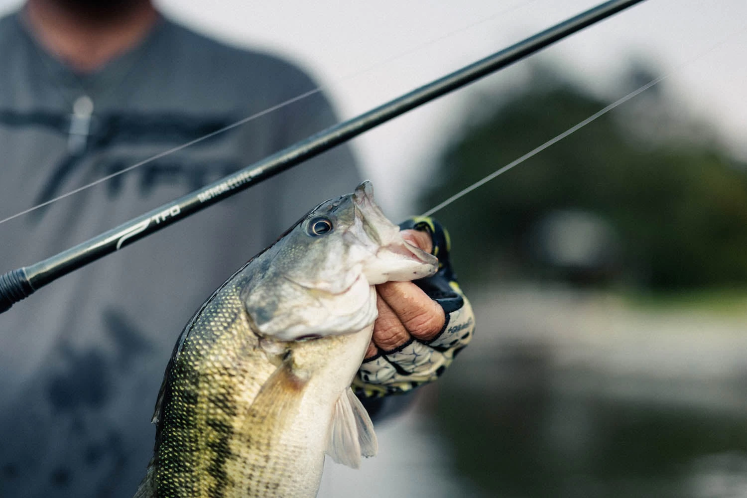 Temple Fork Outfitters Tactical Elite Bass Swimbait Casting Rods - Image 9